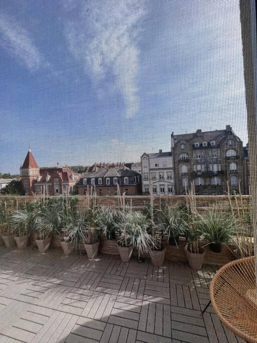 Appartement Cosy Orangerie Strasbourg Exterior photo
